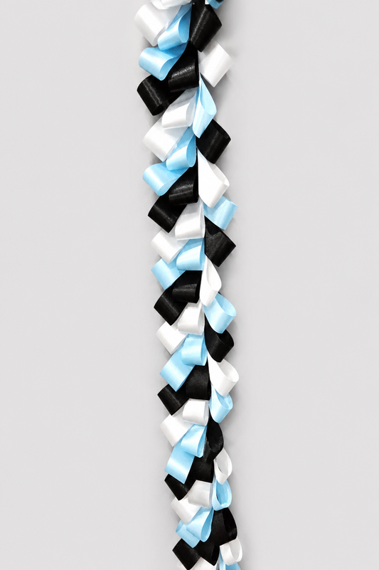 Crazy Loop Braid